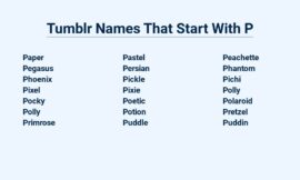 Tumblr Names That Start With P – Unique And Creative