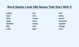 Word Stacks Level 586 Nouns That Start With V – You’ve Got This!