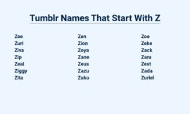 Tumblr Names That Start With Z – Catchy And Creative