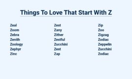 Things To Love That Start With Z – A To Z