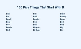 100 Pics Things That Start With B – Alphabet Bonanza