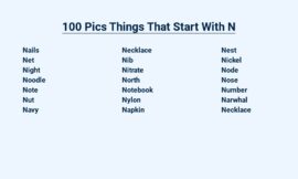 100 Pics Things That Start With N – Naming the World