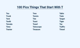 100 Pics Things That Start With T – Try to Name Them All