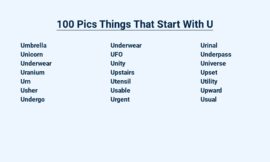 100 Pics Things That Start With U – Ultimate Picture Quiz