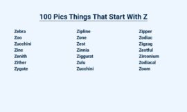 100 Pics Things That Start With Z – Zingy Zoology