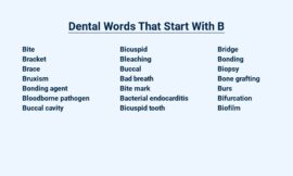 Dental Words That Start With B – Brace Yourself