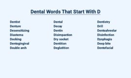 Dental Words That Start With D – Demystified