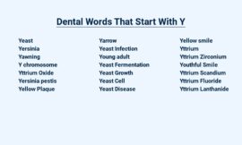 Dental Words That Start With Y – You Bet You’ll Learn