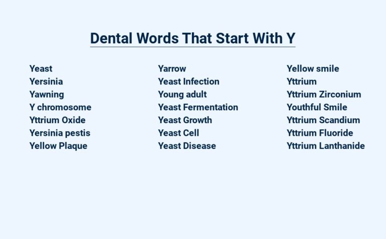 Read more about the article Dental Words That Start With Y – You Bet You’ll Learn