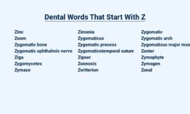 Dental Words That Start With Z – Zip Up Your Smile