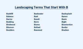 Landscaping Terms That Start With B – Basics Defined