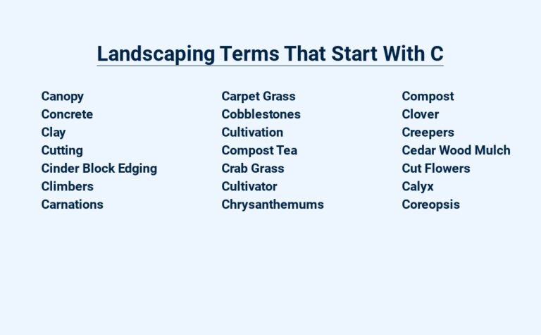 Read more about the article Landscaping Terms That Start With C – Explained