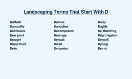 Landscaping Terms That Start With D – Deciphering Design Elements