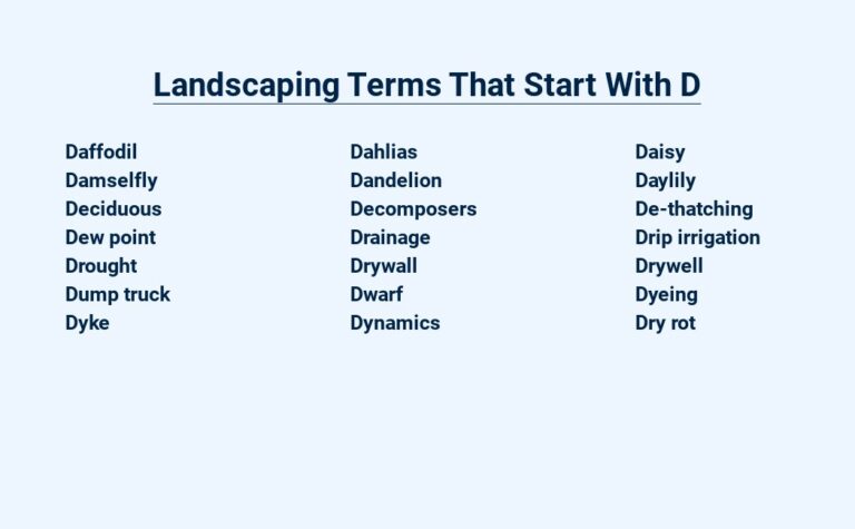 Read more about the article Landscaping Terms That Start With D – Deciphering Design Elements