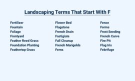 Landscaping Terms That Start With F – A Floral Vocabulary