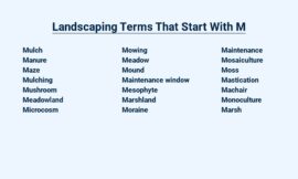 Landscaping Terms That Start With M – Master the Basics