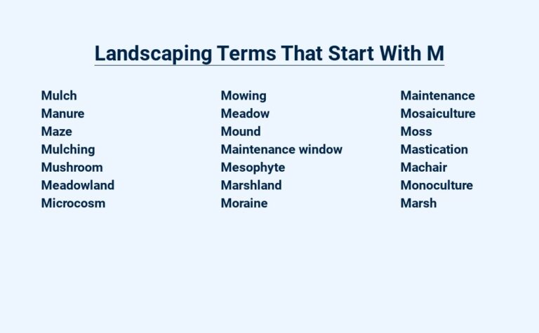 Read more about the article Landscaping Terms That Start With M – Master the Basics