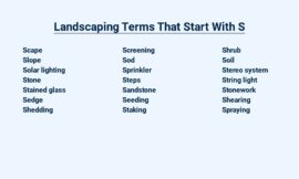 Landscaping Terms That Start With S – Shaping Your Outdoor Oasis