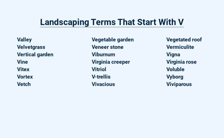 Read more about the article Landscaping Terms That Start With V – Venture Into Your Garden Vocabulary