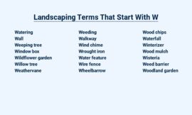 Landscaping Terms That Start With W – Words to Know