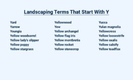 Landscaping Terms That Start With Y – Yards and Beyond