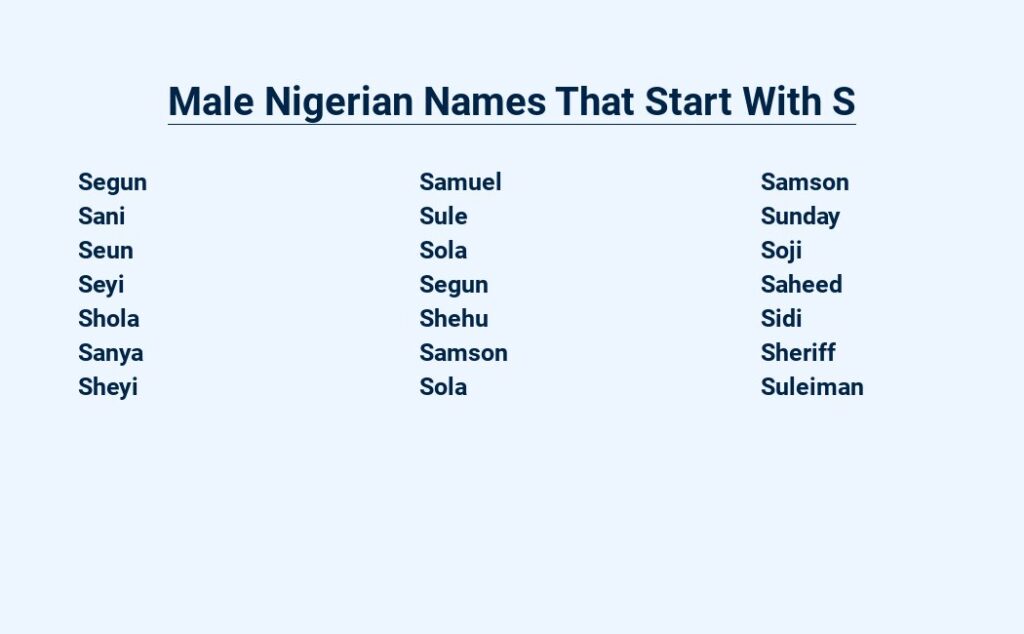 male-nigerian-names-that-start-with-s-the-pride-of-the-nation