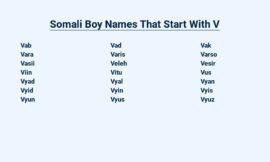 Somali Boy Names That Start With V – Unique and Meaningful