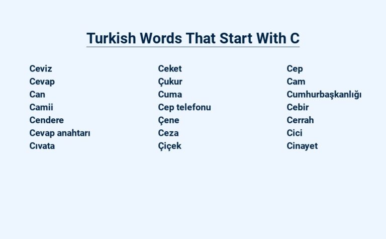 Read more about the article Turkish Words That Start With C – Common and Useful