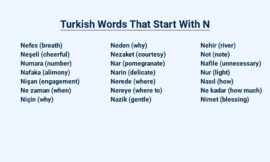 Turkish Words That Start With N – A Comprehensive List