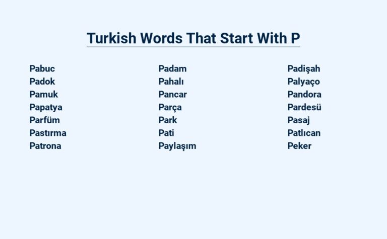 Read more about the article Turkish Words That Start With P – An Extensive Guide